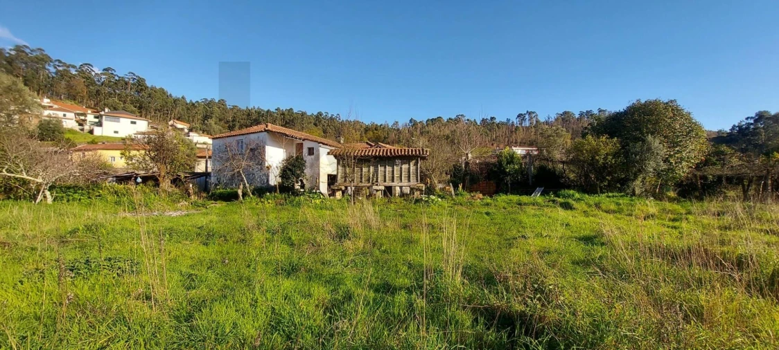 Moradia T3 para Venda em Pico de Regalados, Gondiães e Mós Foto 19