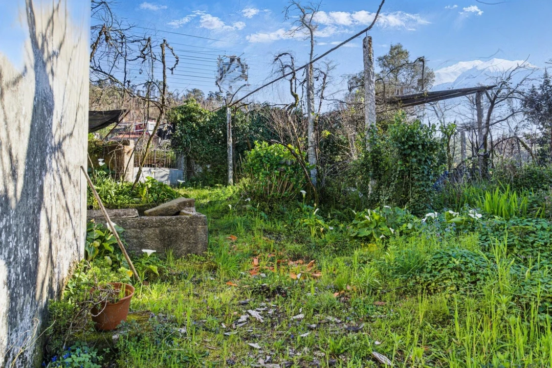 Moradia T3 para Venda em Pico de Regalados, Gondiães e Mós Foto 17