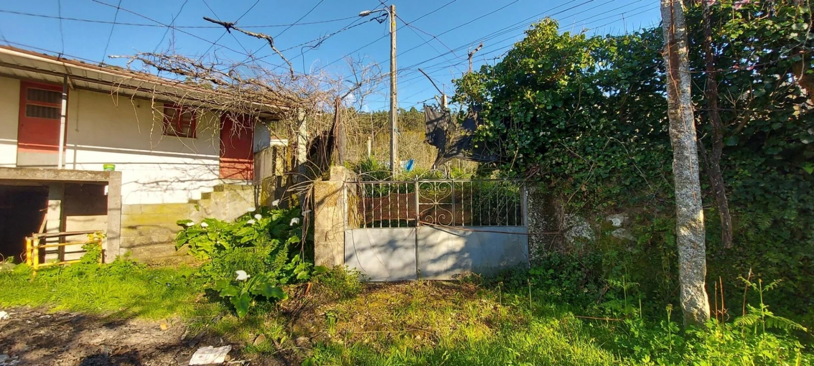 Moradia T3 para Venda em Pico de Regalados, Gondiães e Mós Foto 26