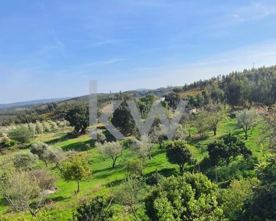 Moradia T2 para Venda em Graça Foto 6