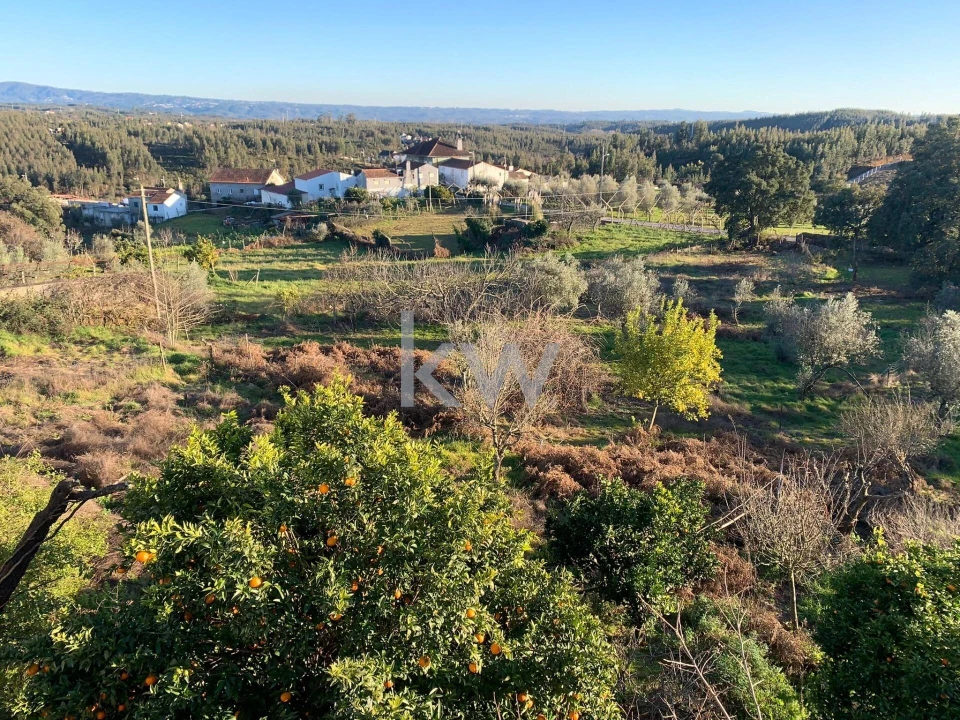 Moradia T2 para Venda em Graça Foto 5