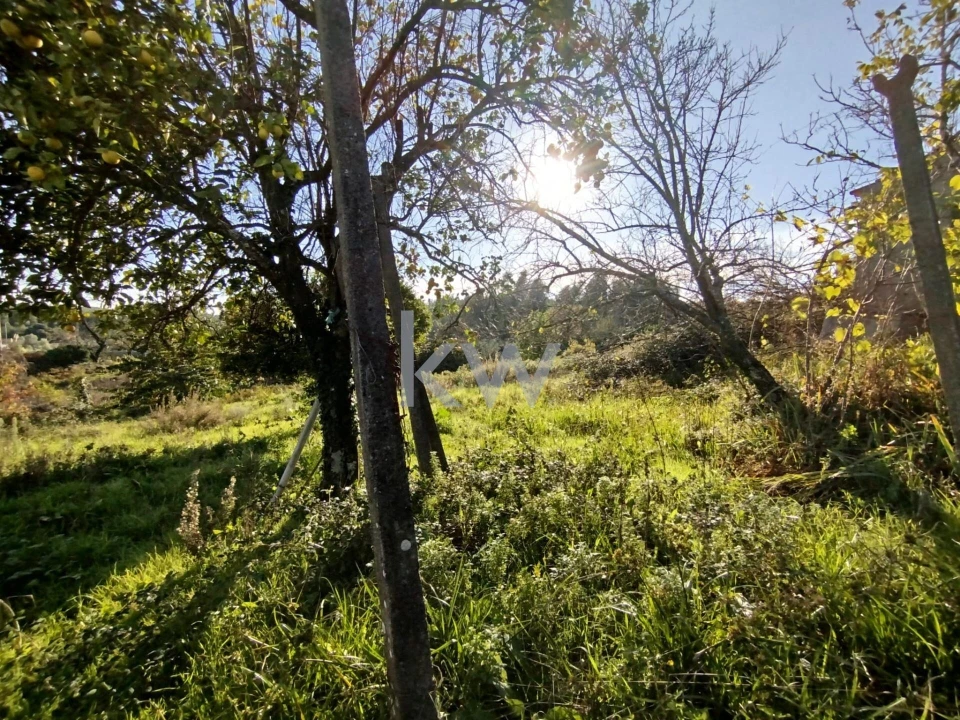 Moradia T2 para Venda em Graça Foto 8