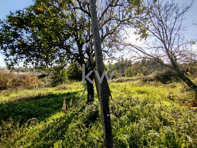 Moradia T2 para Venda em Graça Foto 9