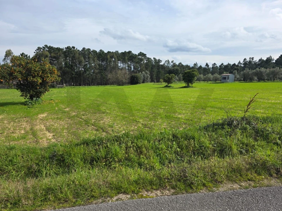 Terreno para Venda em Louriçal Foto 10