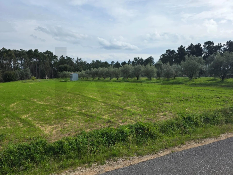 Terreno para Venda em Louriçal Foto 8