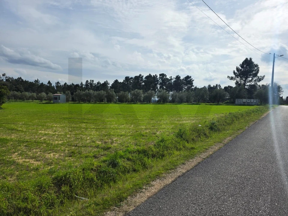 Terreno para Venda em Louriçal Foto 12
