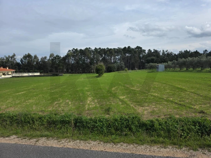 Terreno para Venda em Louriçal Foto 7