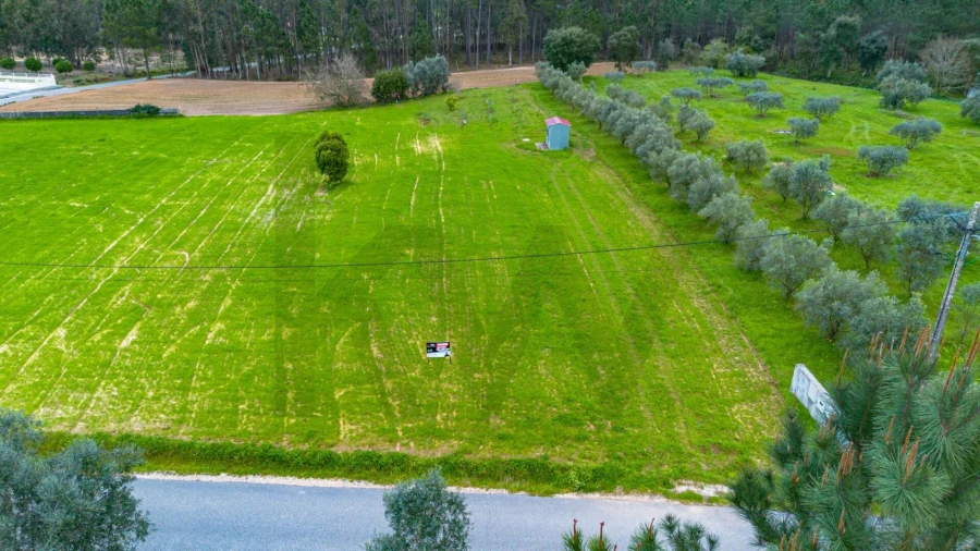 Terreno para Venda em Louriçal Foto 5