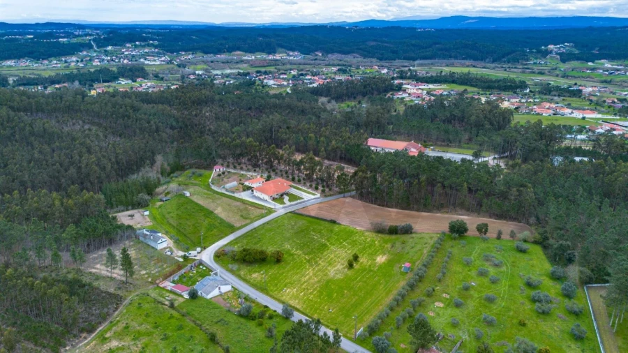 Terreno para Venda em Louriçal Foto 11