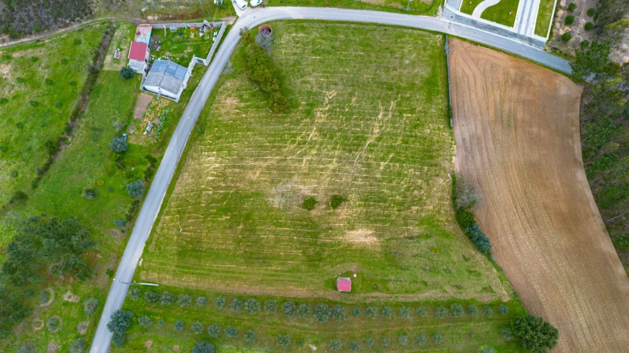 Terreno para Venda em Louriçal Foto 3