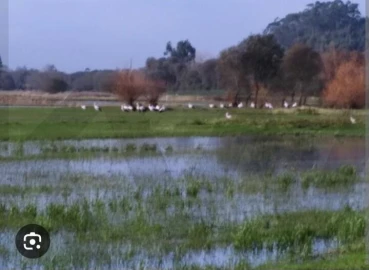 Terreno para Venda em Eixo e Eirol