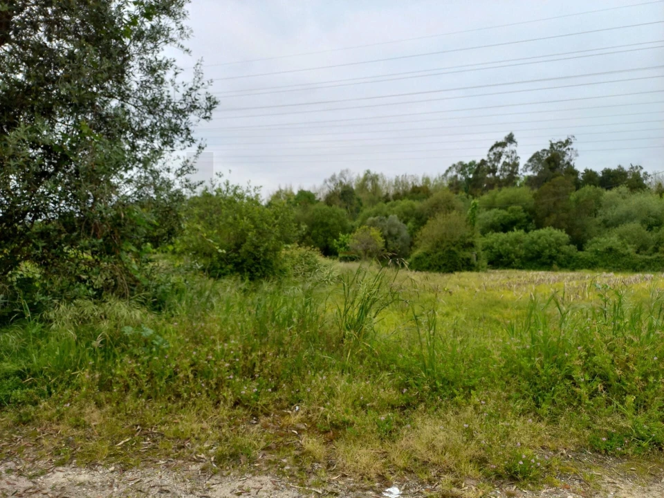 Terreno para Venda em Eixo e Eirol Foto 12