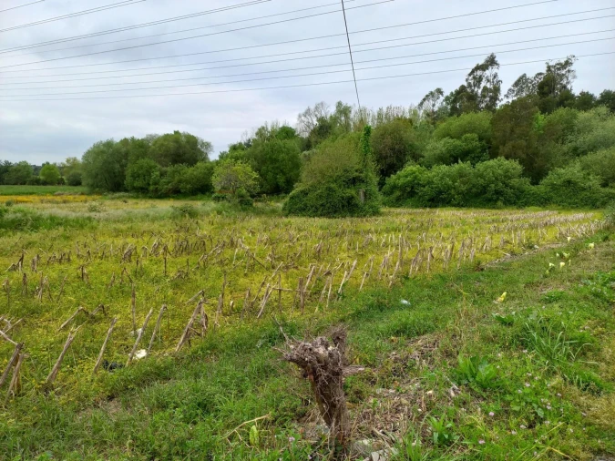 Terreno para Venda em Eixo e Eirol Foto 11