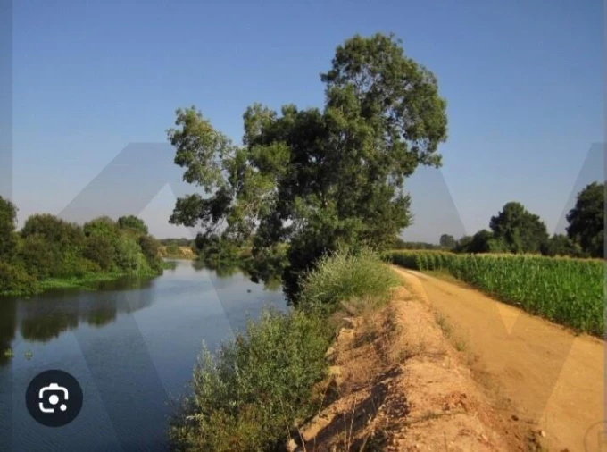 Terreno para Venda em Eixo e Eirol Foto 7