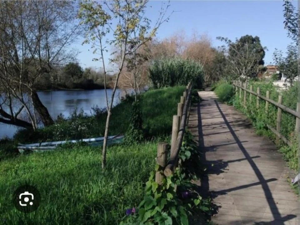 Terreno para Venda em Eixo e Eirol Foto 1