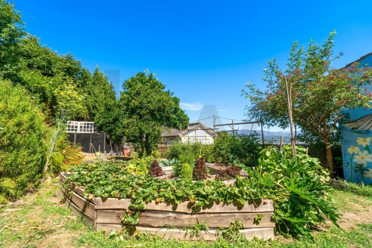 Moradia T4 para Venda em Fataunços e Figueiredo das Donas Foto 50