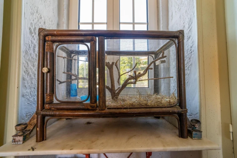 Moradia T4 para Venda em Fataunços e Figueiredo das Donas Foto 68