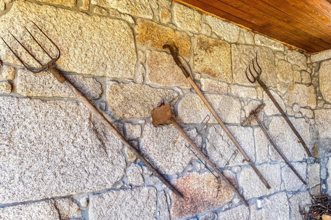 Moradia T4 para Venda em Fataunços e Figueiredo das Donas Foto 62