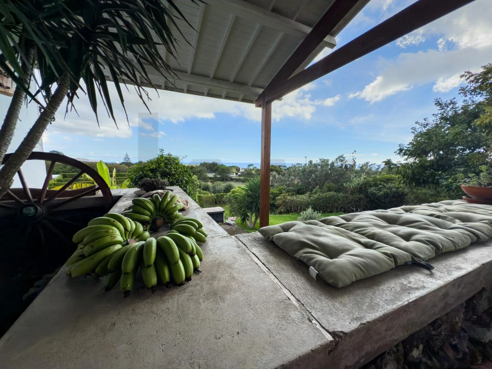 Quinta T4 para Venda em Rosto do Cão (Livramento) Foto 22