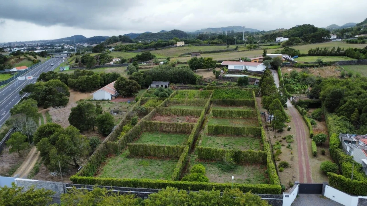 Quinta T4 para Venda em Rosto do Cão (Livramento) Foto 3