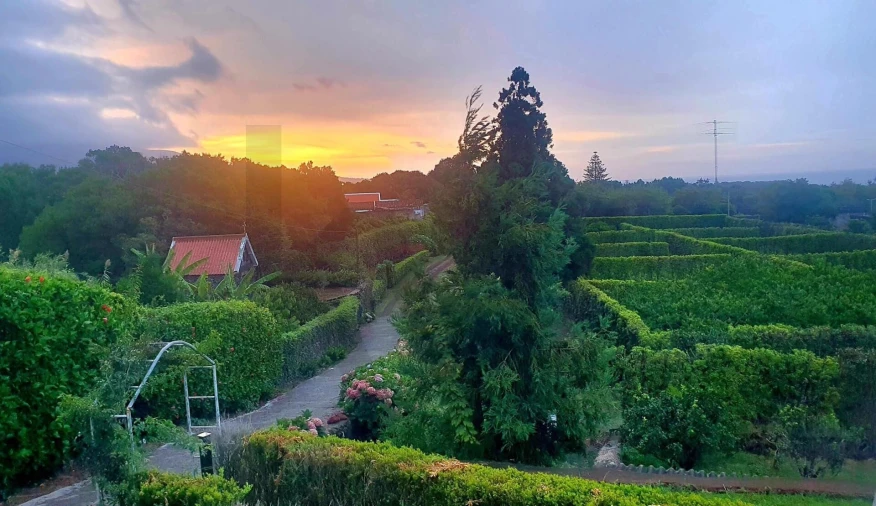 Quinta T4 para Venda em Rosto do Cão (Livramento) Foto 31