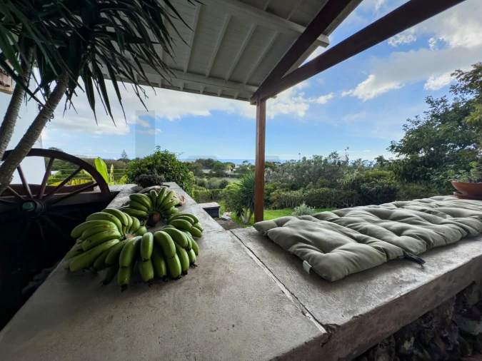 Quinta T4 para Venda em Rosto do Cão (Livramento) Foto 22