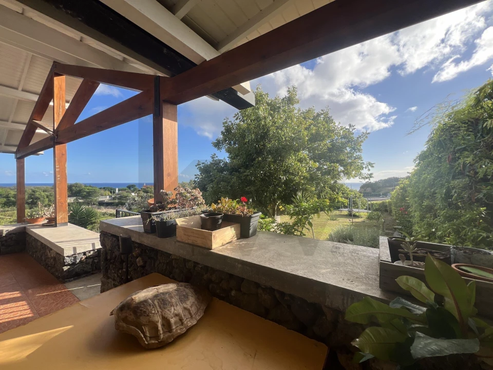 Quinta T4 para Venda em Rosto do Cão (Livramento) Foto 21