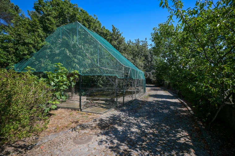 Quinta T4 para Venda em Esmeriz e Cabeçudos Foto 5