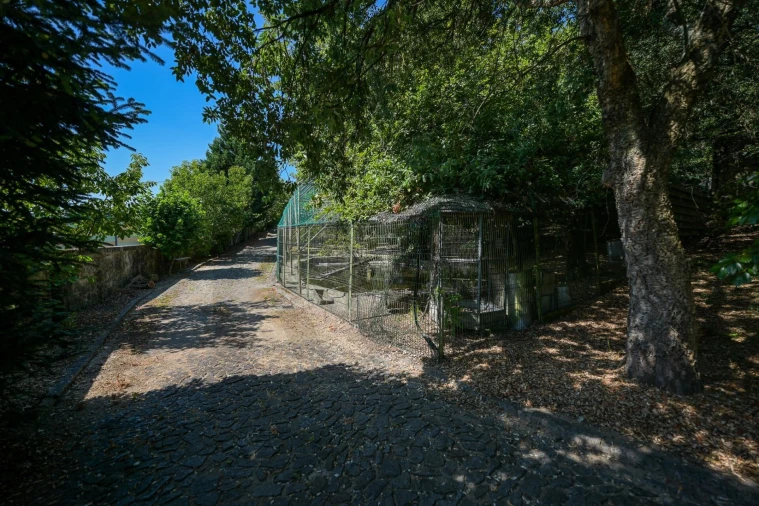 Quinta T4 para Venda em Esmeriz e Cabeçudos Foto 6