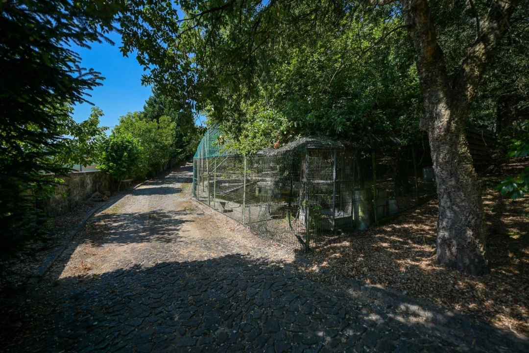 Quinta T4 para Venda em Esmeriz e Cabeçudos Foto 6