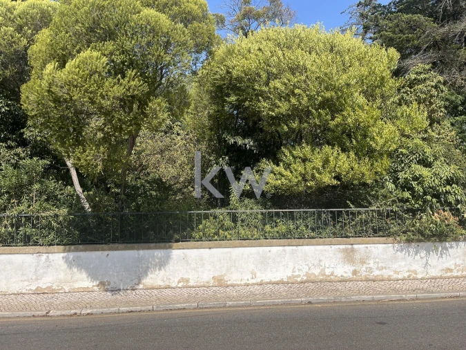 Terreno para Venda em Oeiras e São Julião da Barra, Paço de Arcos e Caxias Foto 10