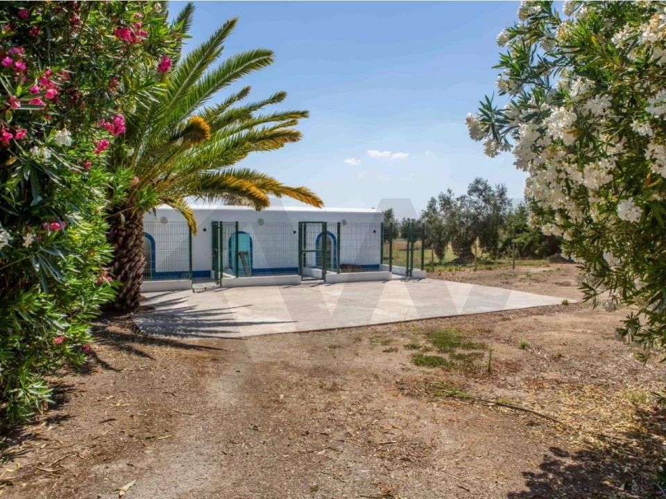 Quinta T5 para Venda em Ferreira do Alentejo e Canhestros Foto 9