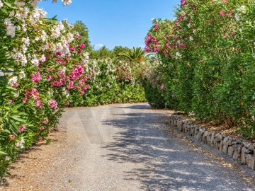 Quinta T5 para Venda em Ferreira do Alentejo e Canhestros