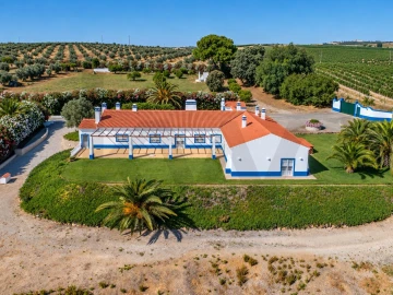 Quinta T5 para Venda em Ferreira do Alentejo e Canhestros