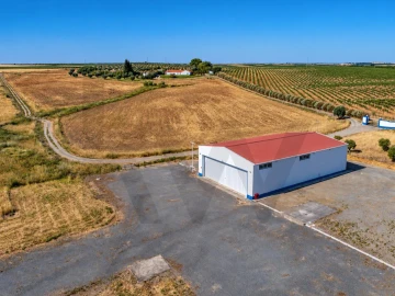 Quinta T5 para Venda em Ferreira do Alentejo e Canhestros