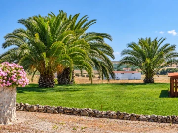 Quinta T5 para Venda em Ferreira do Alentejo e Canhestros