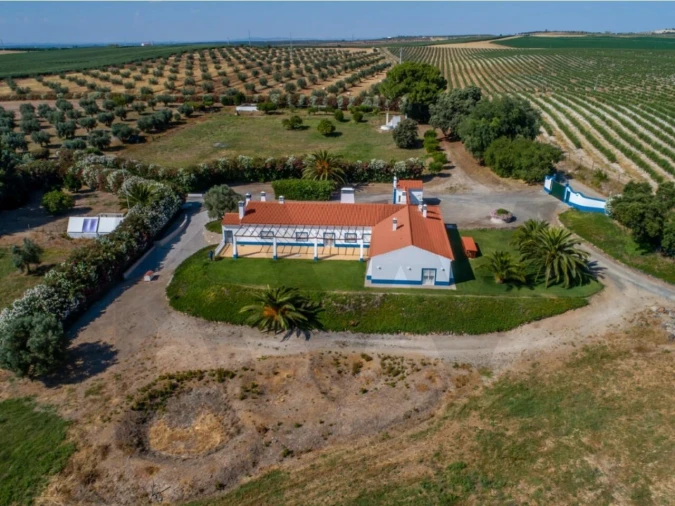 Quinta T5 para Venda em Ferreira do Alentejo e Canhestros Foto 49