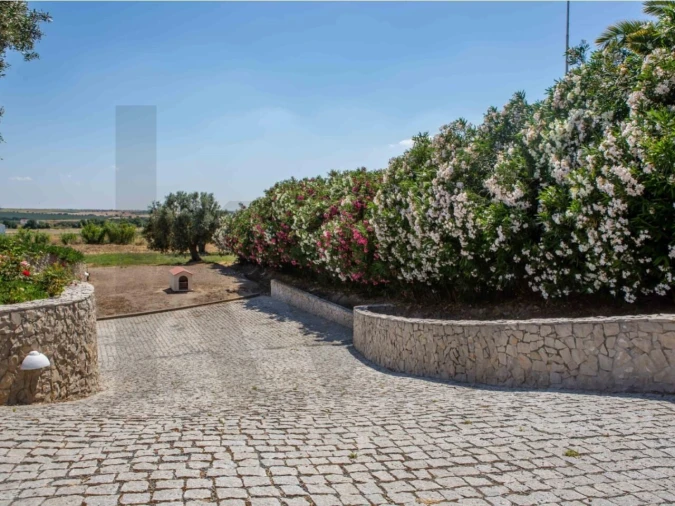 Quinta T5 para Venda em Ferreira do Alentejo e Canhestros Foto 11