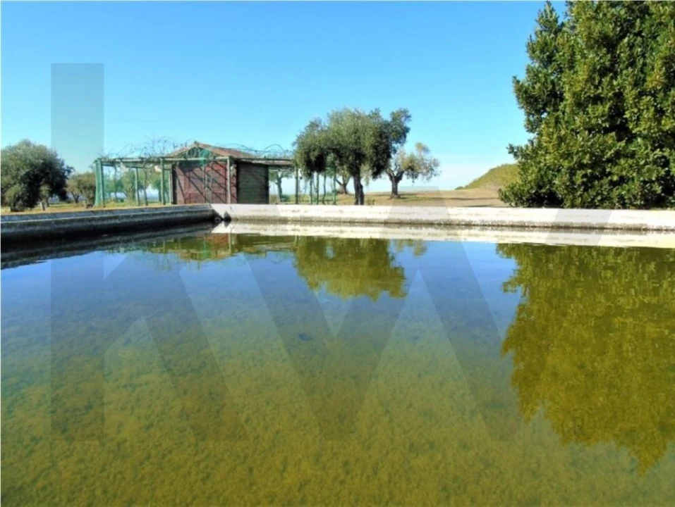 Quinta T5 para Venda em Ferreira do Alentejo e Canhestros Foto 13