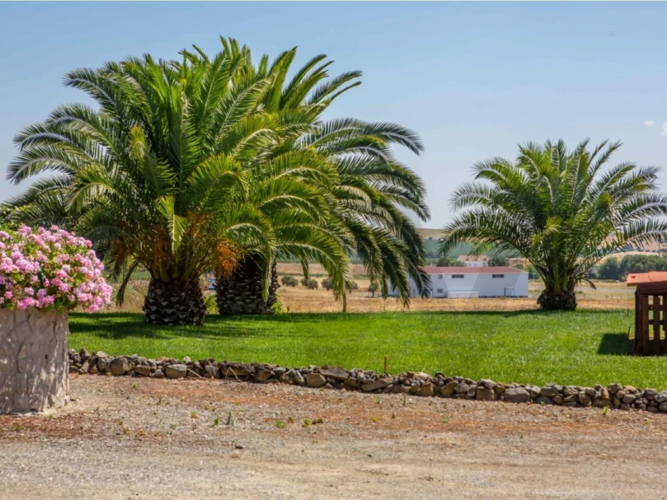 Quinta T5 para Venda em Ferreira do Alentejo e Canhestros Foto 7