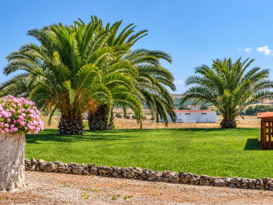 Quinta T5 para Venda em Ferreira do Alentejo e Canhestros Foto 20