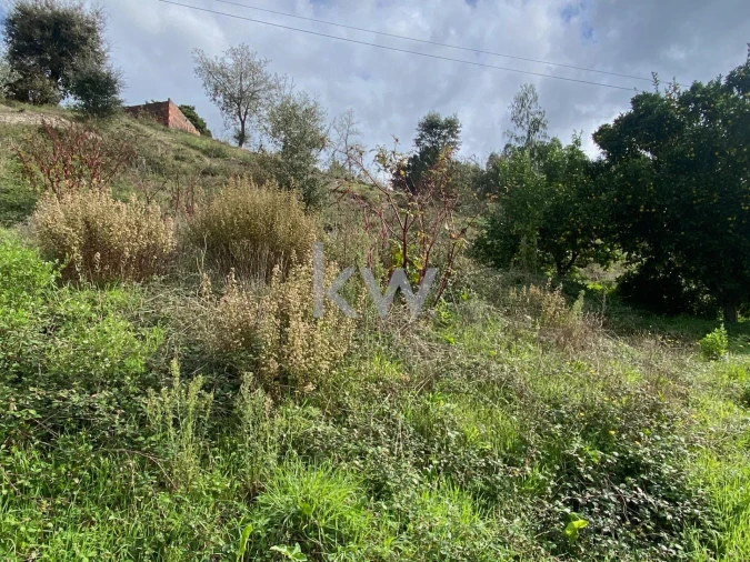 Moradia T2 para Venda em Santiago e São Simão de Litém e Albergaria dos Doze Foto 13