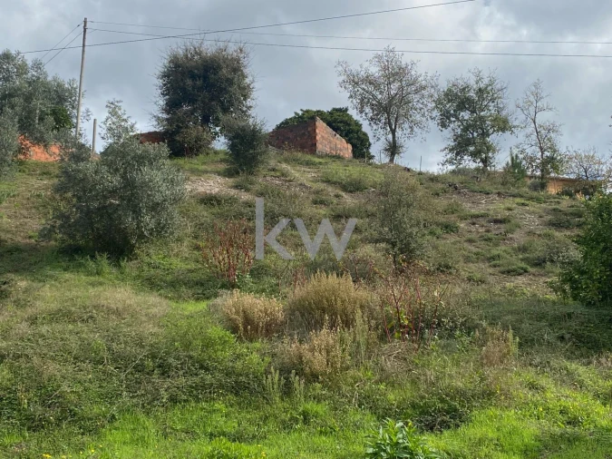 Moradia T2 para Venda em Santiago e São Simão de Litém e Albergaria dos Doze Foto 11