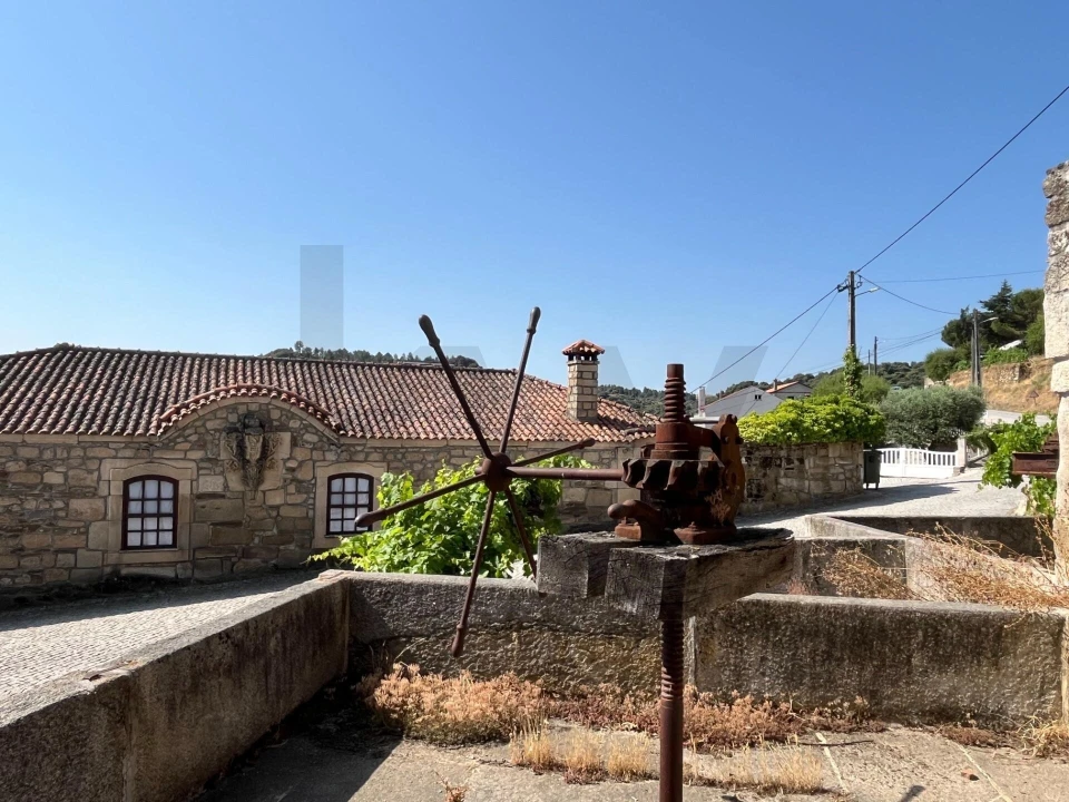 Quinta T4 para Venda em Longroiva Foto 5