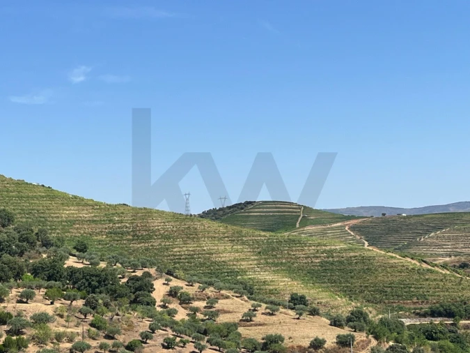 Quinta T4 para Venda em Longroiva Foto 17