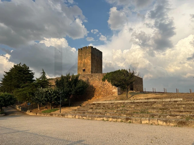 Quinta T4 para Venda em Longroiva Foto 20