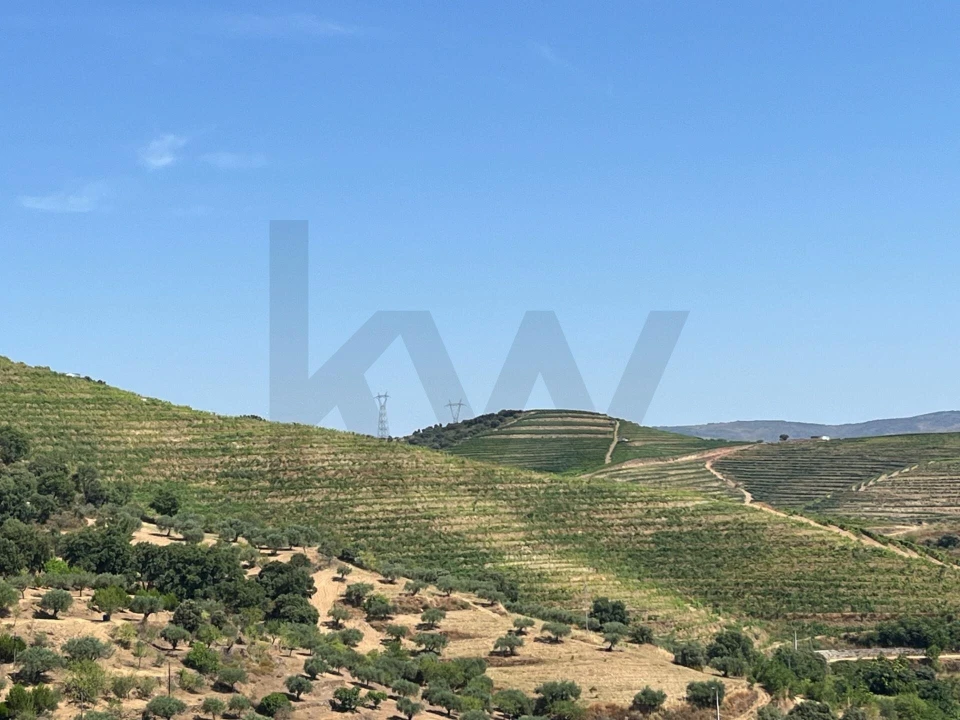 Quinta T4 para Venda em Longroiva Foto 17