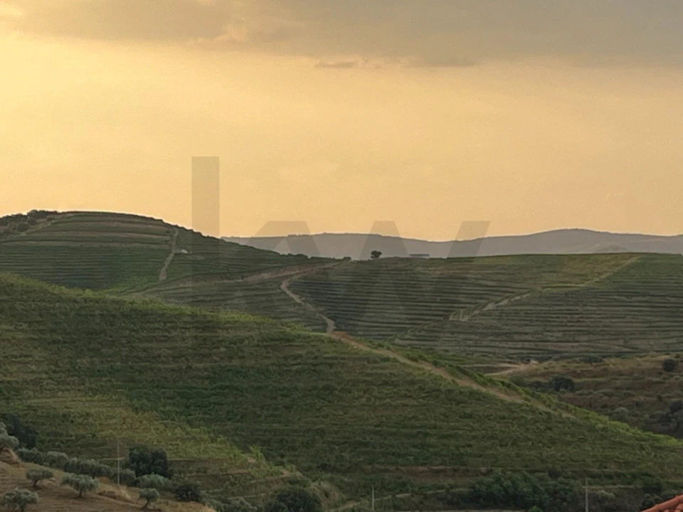 Quinta T4 para Venda em Longroiva Foto 18