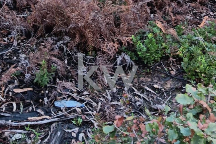 Terreno para Venda em Malveira e São Miguel de Alcainça Foto 14