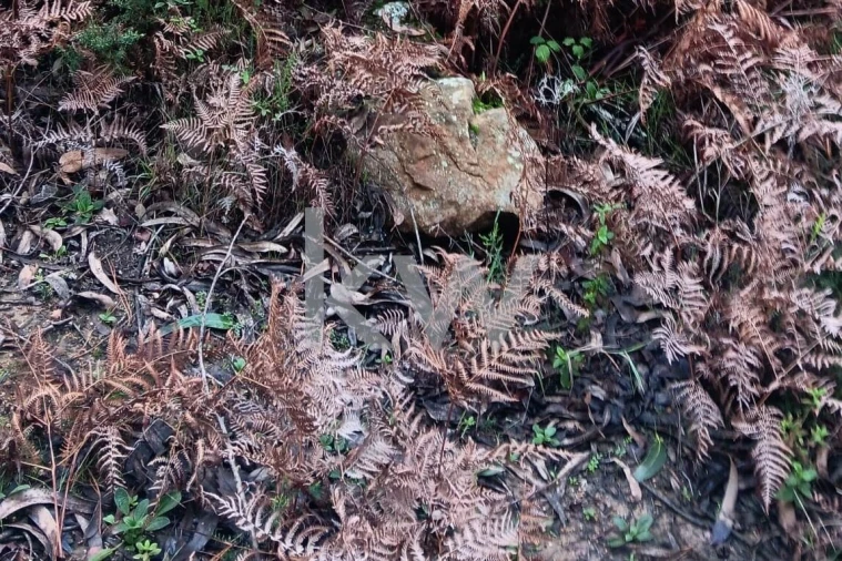 Terreno para Venda em Malveira e São Miguel de Alcainça Foto 19